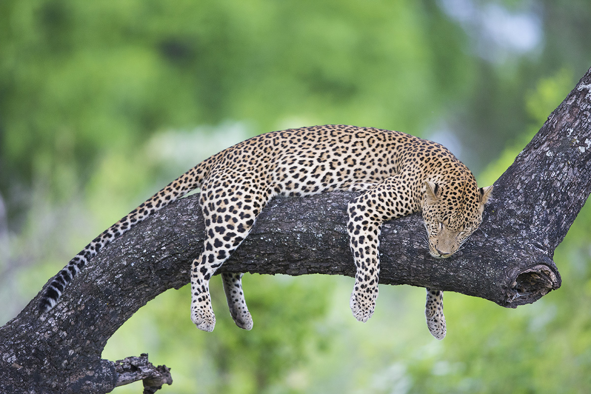 Portfolio: Southern Africa in pictures