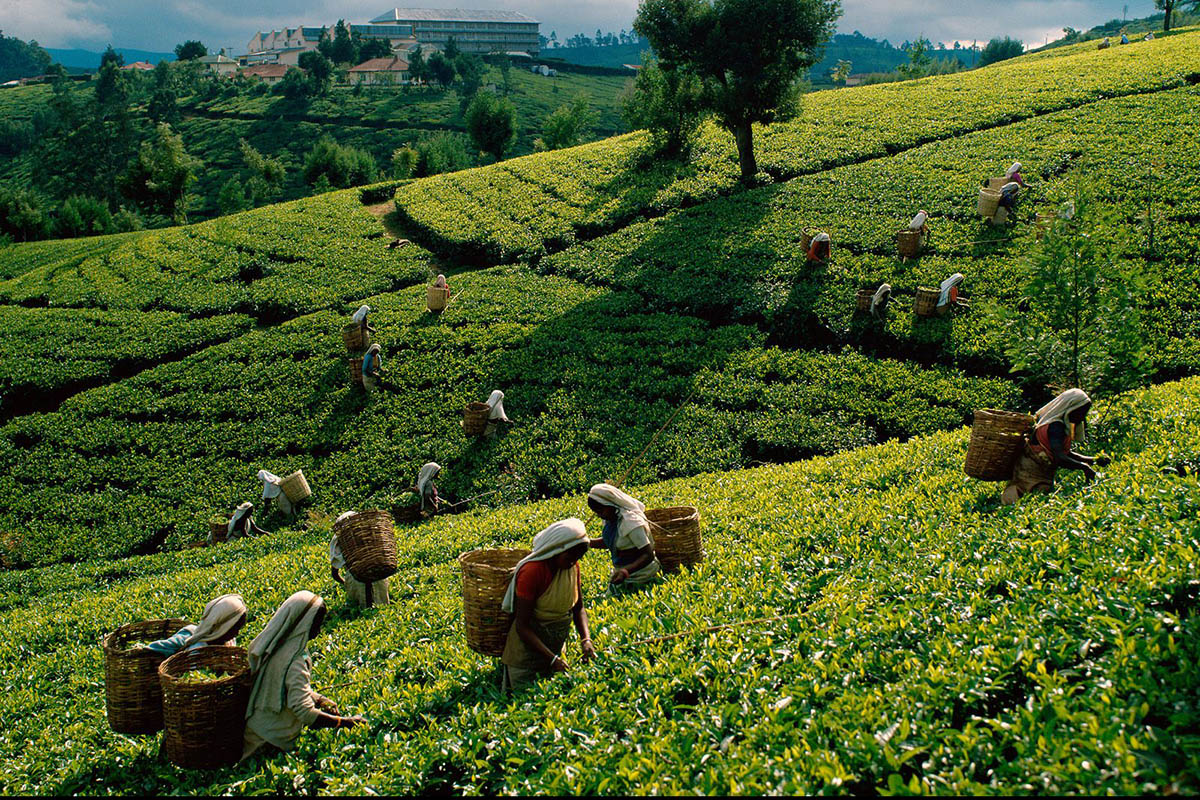 Best places to visit in Sri Lanka