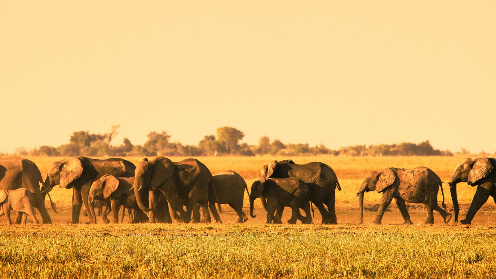 The Importance of Family Legacy Travel