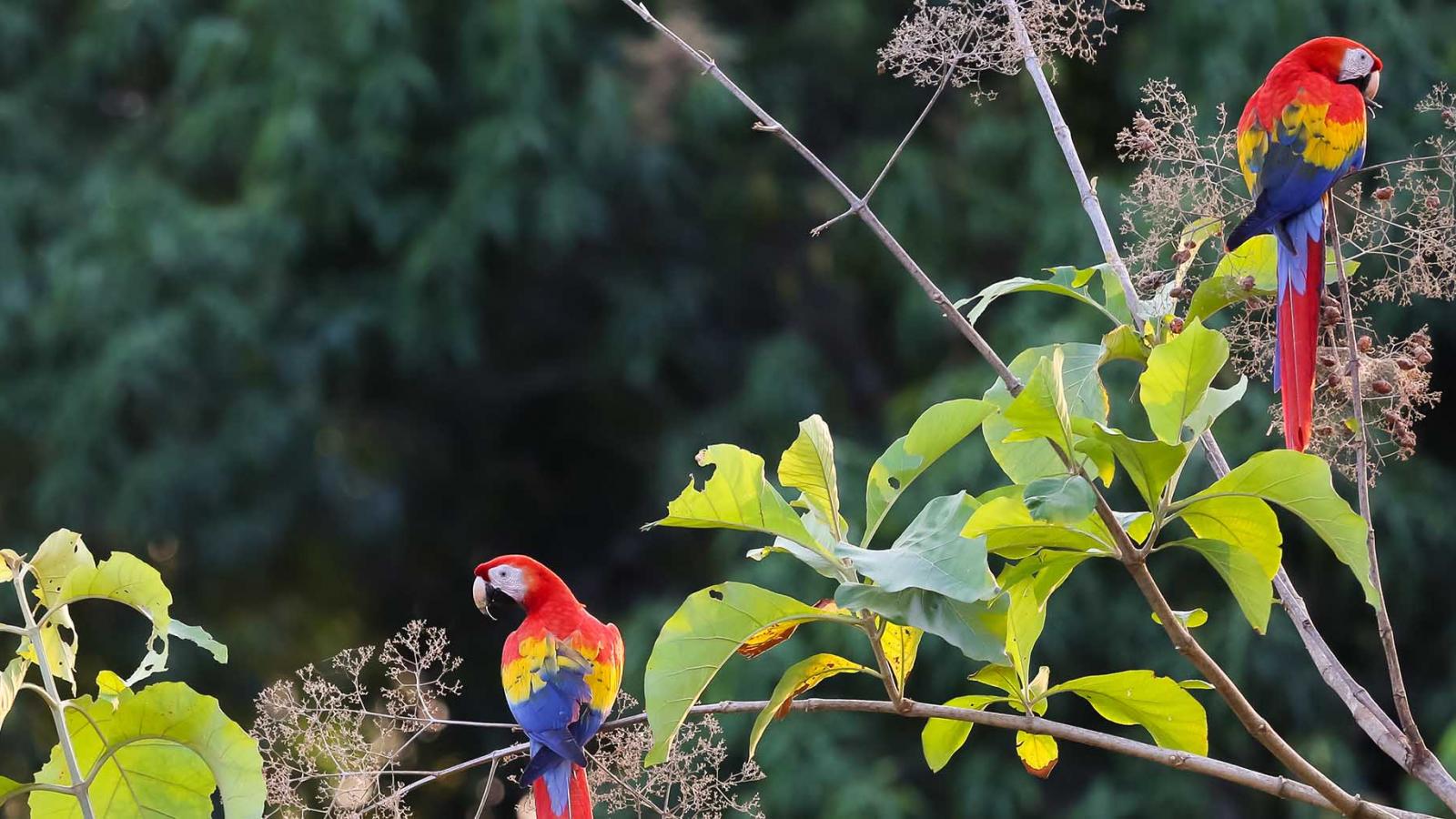 Three reasons to take your family to Costa Rica