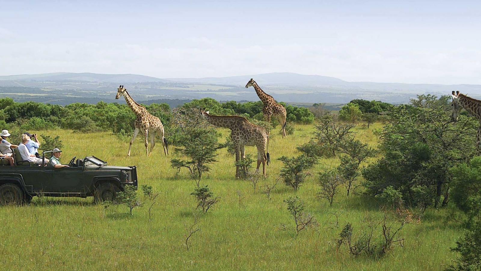 Travelling with children in South Africa