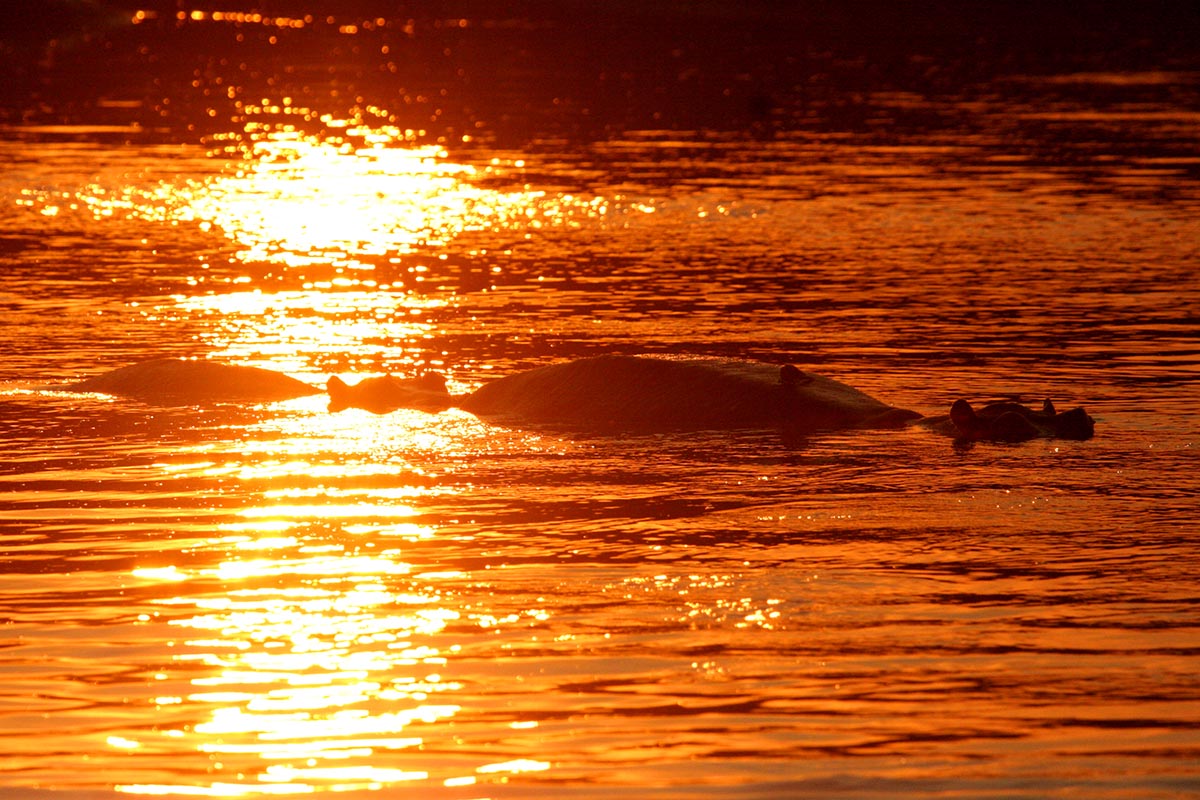 Zambia photography