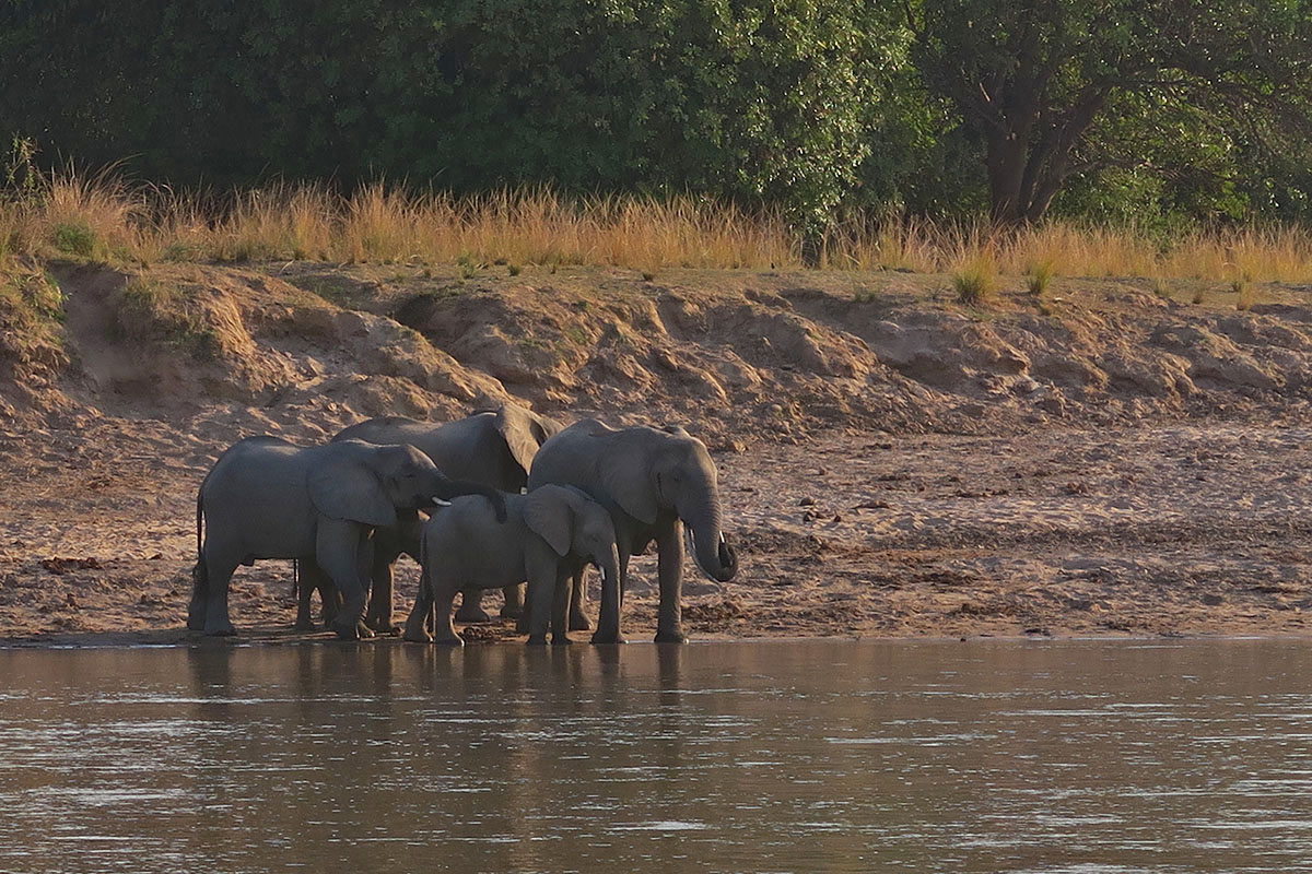 Three of the best photographic hides in Zambia