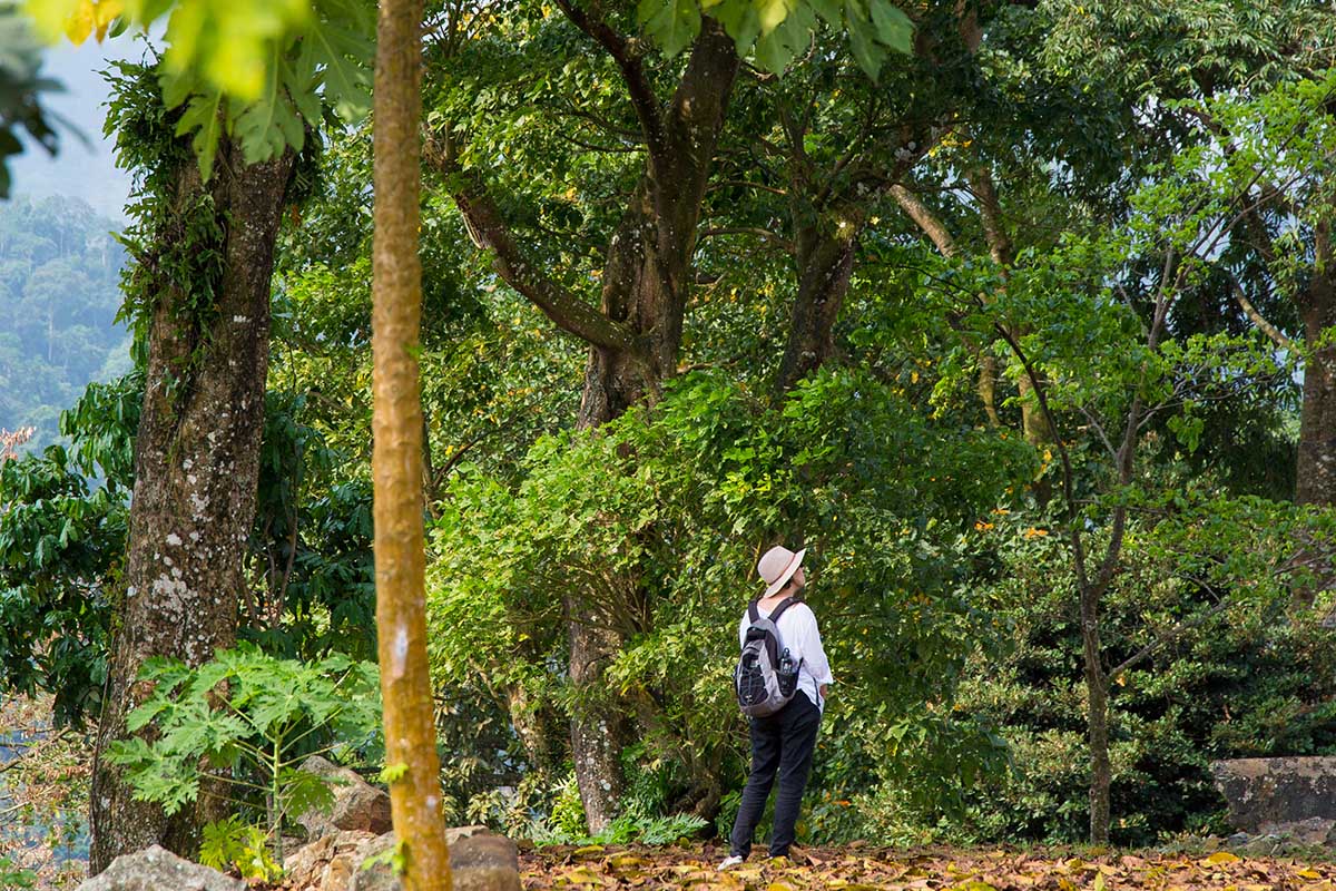 Best places to go hiking in São Tomé + Príncipe