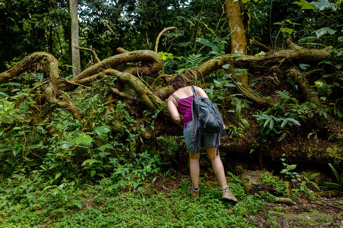 Trekking in São Tomé + Príncipe