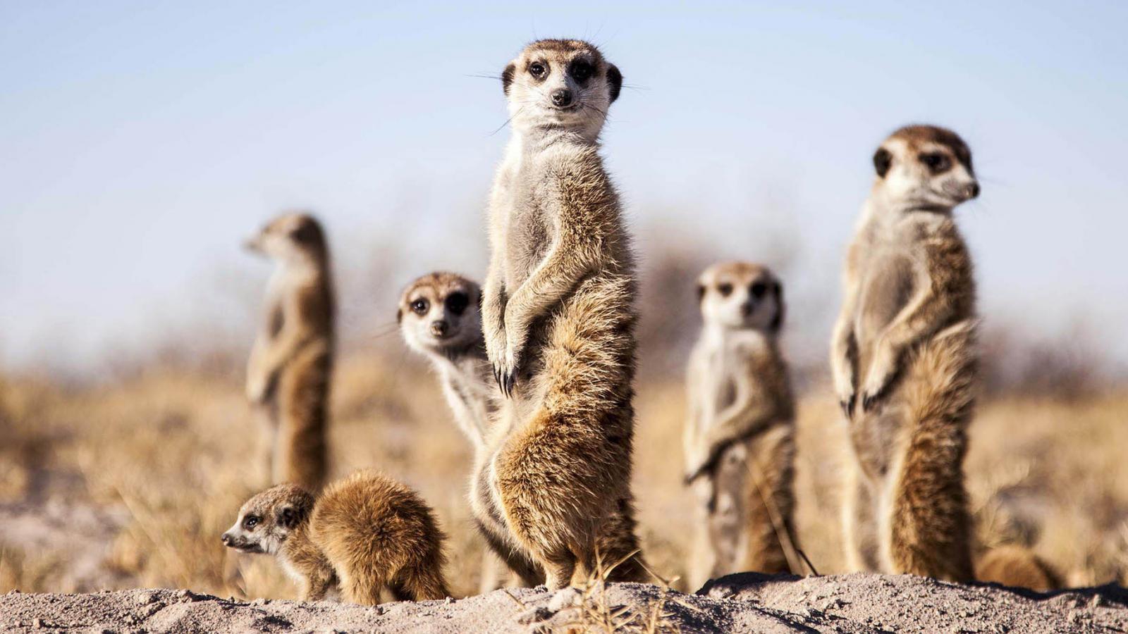 Where to go in Africa Now