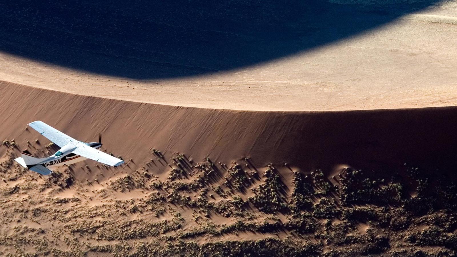 Wild + Exhilarating Safari Experiences