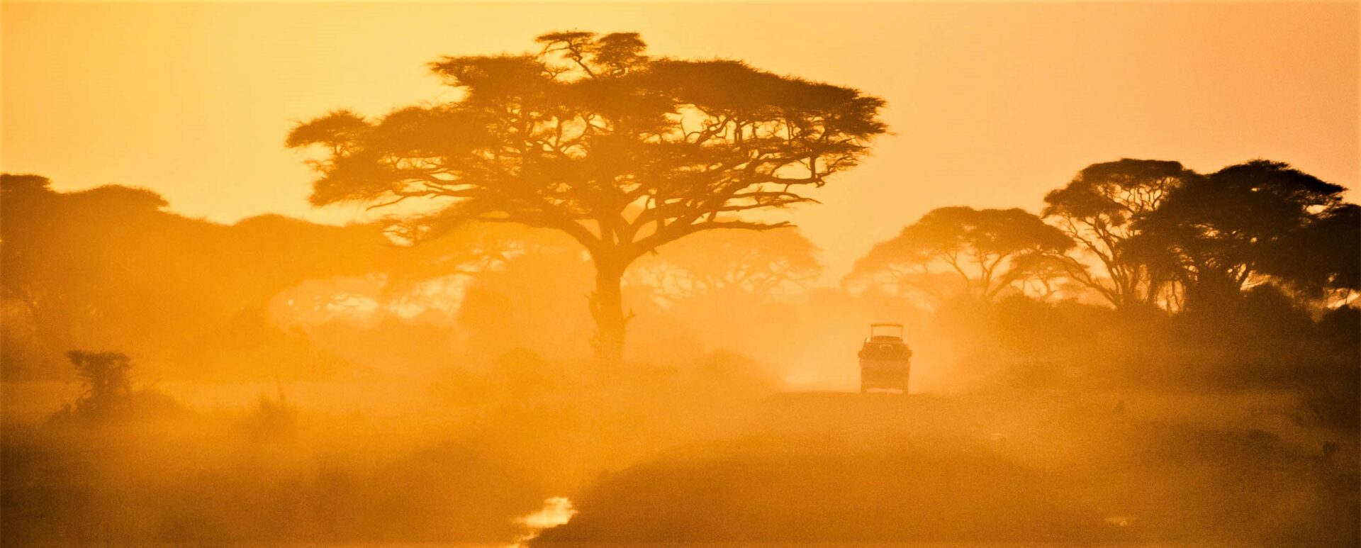 Why go to Africa again and again