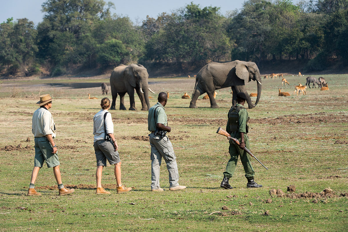 Portfolio: Southern Africa in pictures
