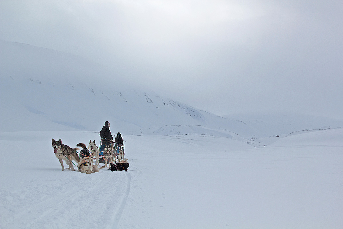 ten reasons to visit the arctic with cazenove+loyd
