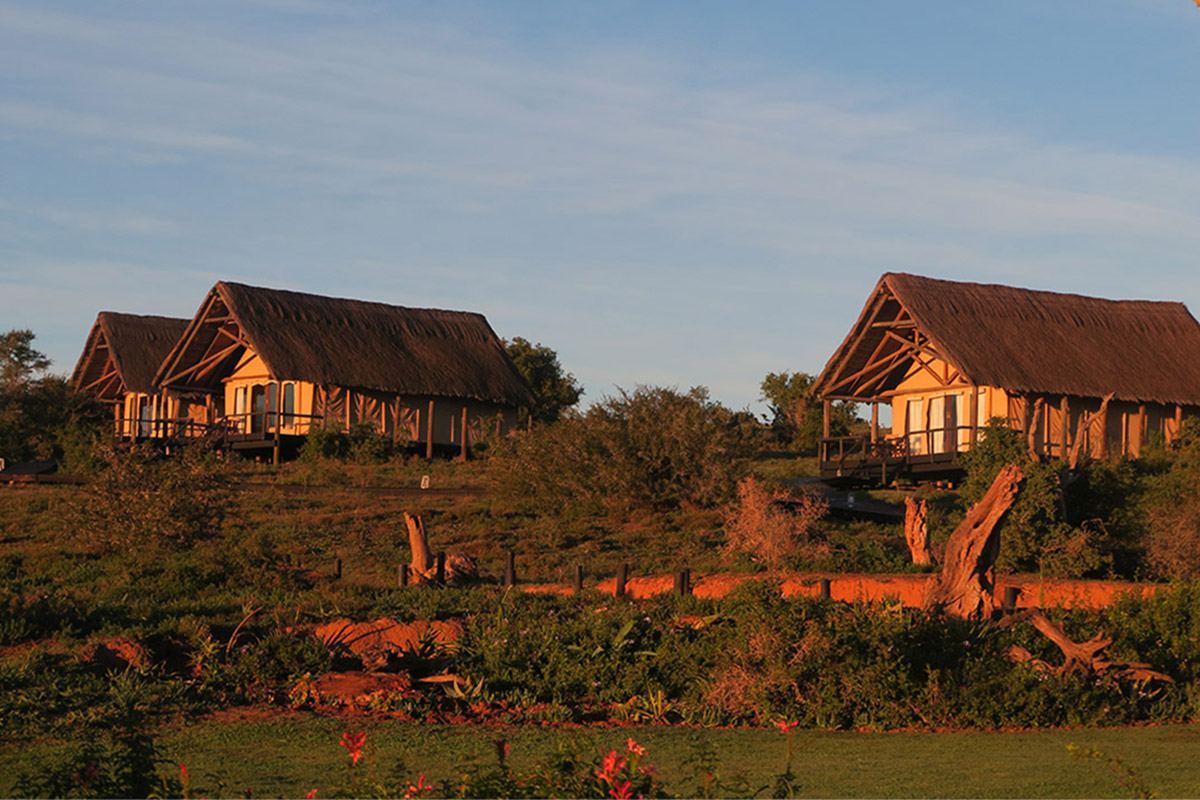 Addo