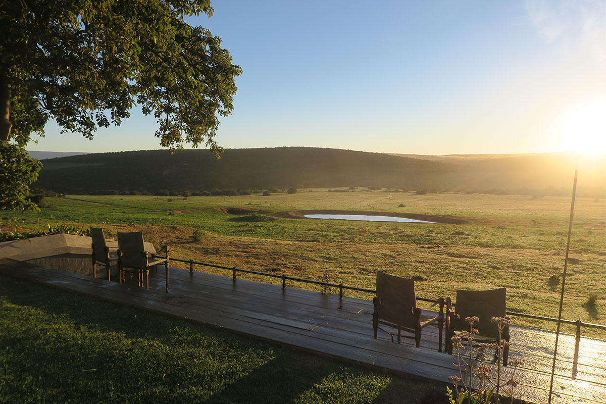 Addo