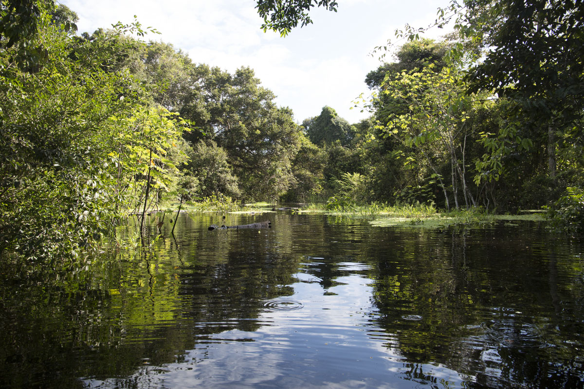 My life-changing experience in the Peruvian Amazon