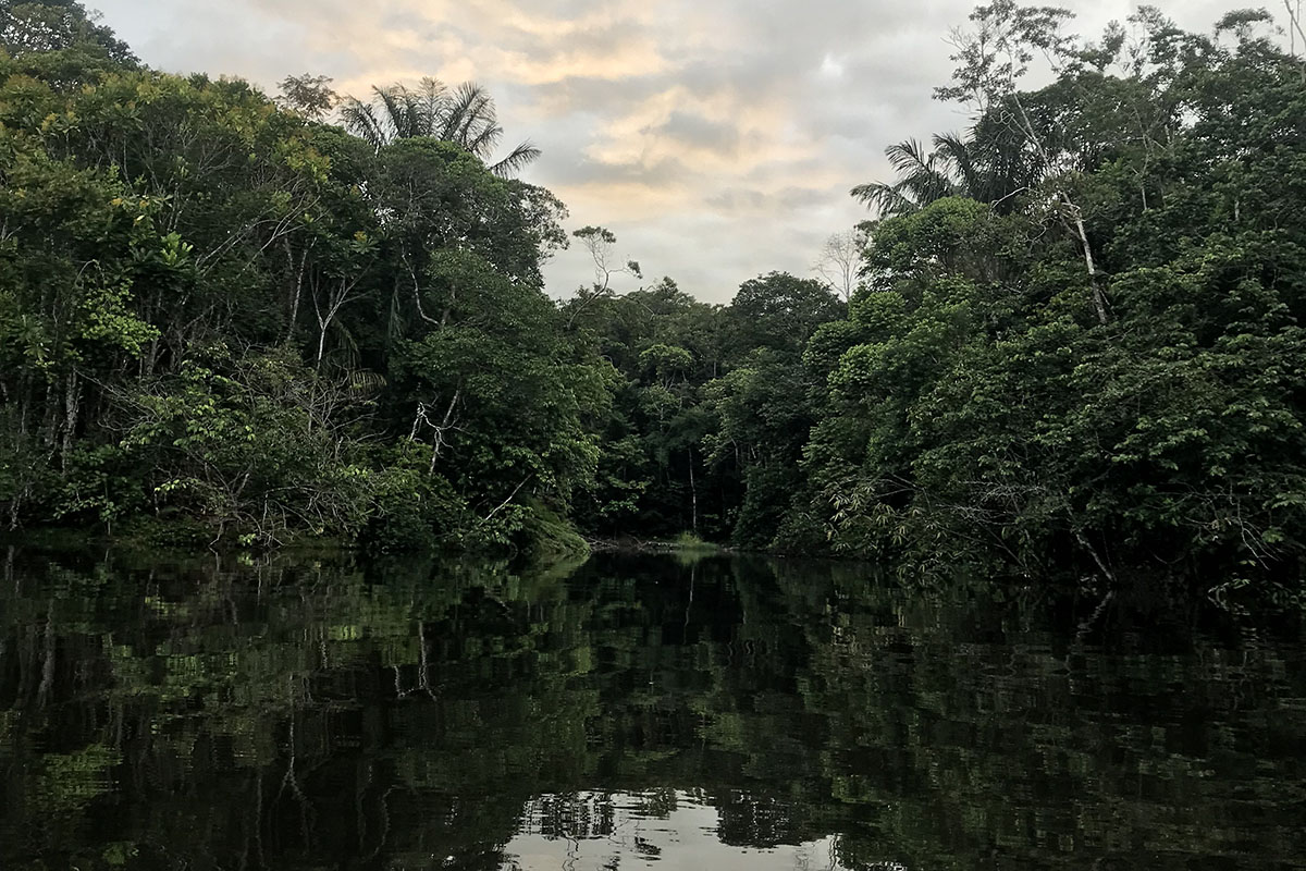 My life-changing experience in the Peruvian Amazon