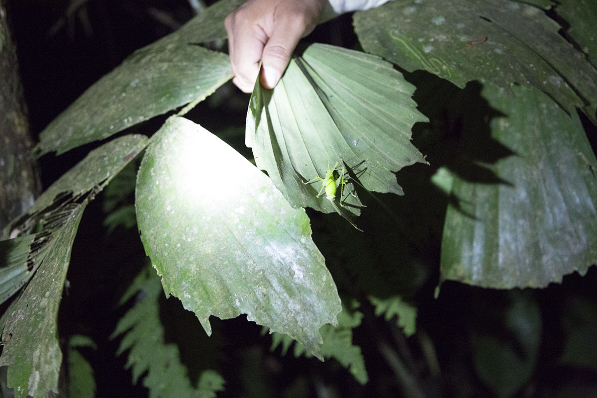 My life-changing experience in the Peruvian Amazon