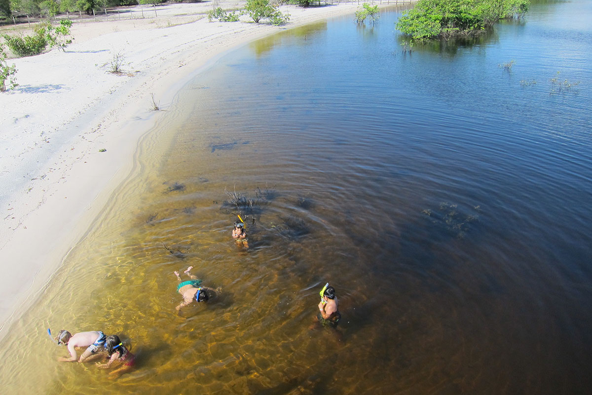 snorkelling in the amazon