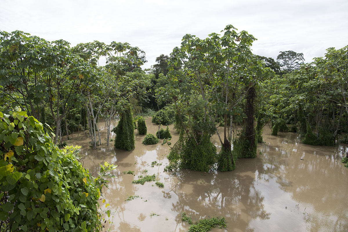 My life-changing experience in the Peruvian Amazon
