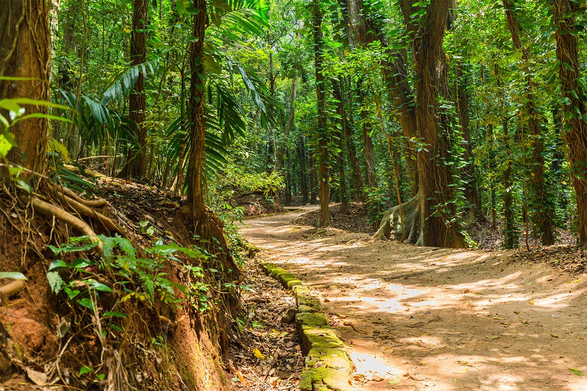 An insider's guide to Kandy Sri Lanka with cazenove+loyd