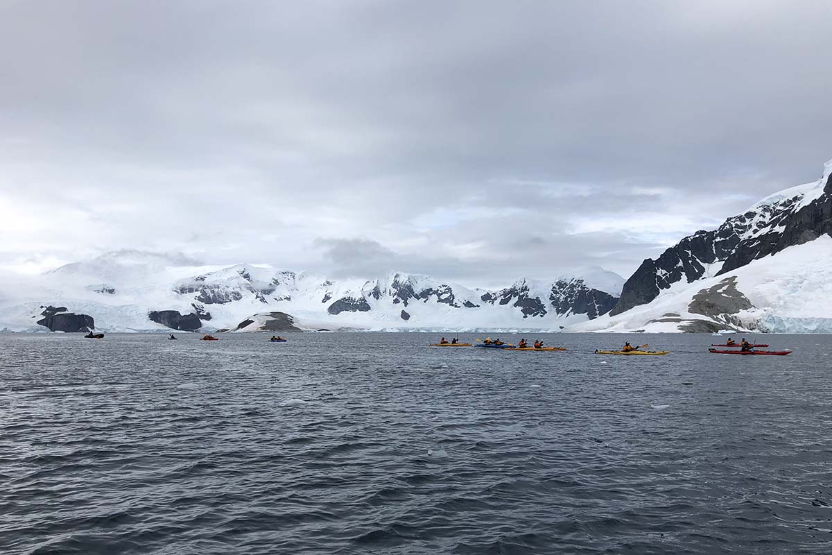 Sarah Antarctica