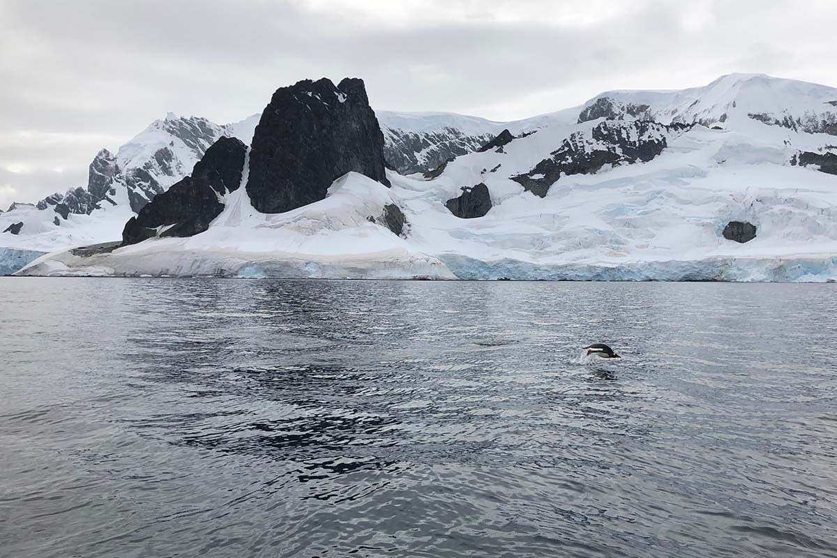 Sarah Antarctica