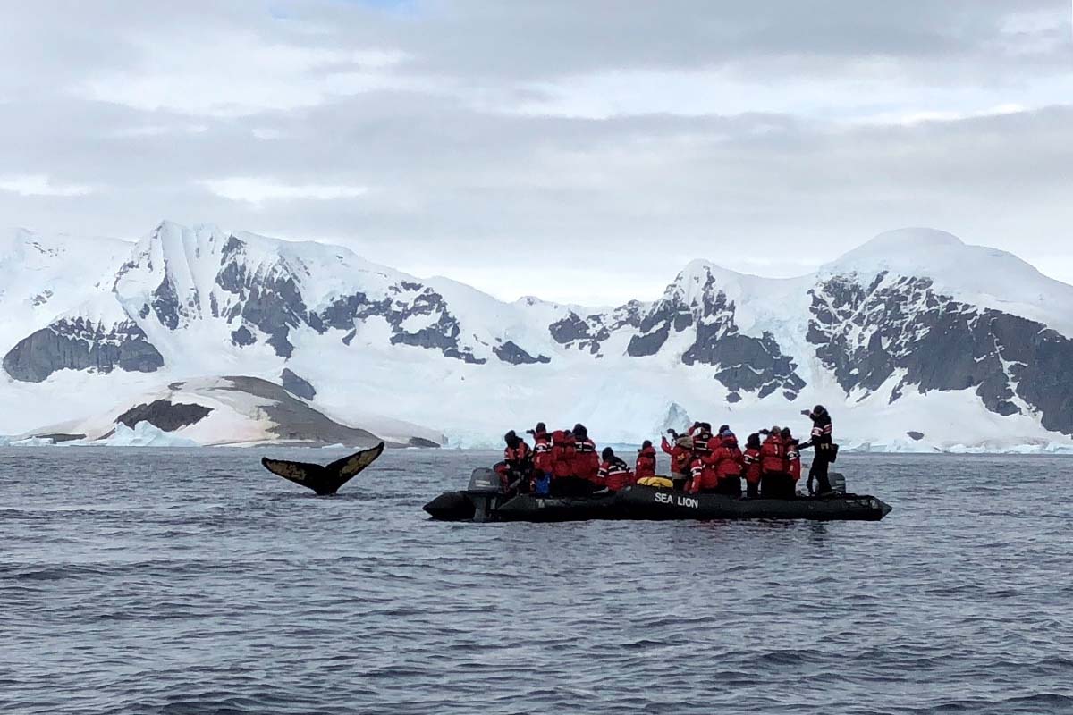 Sarah Antarctica