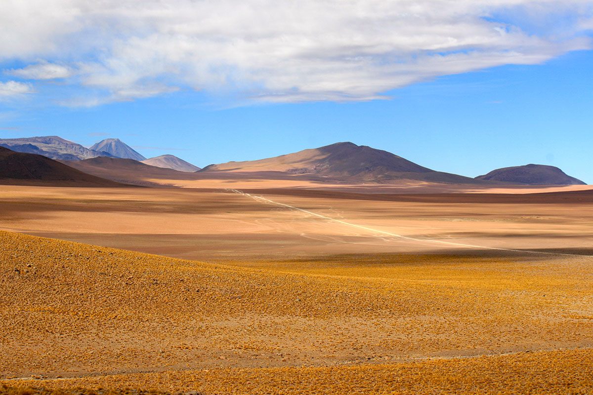 Atacama Chile