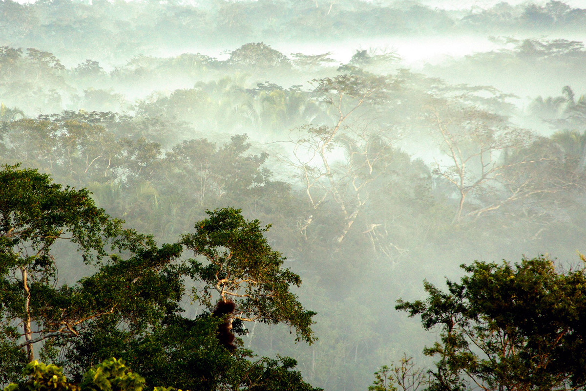 Belize inland