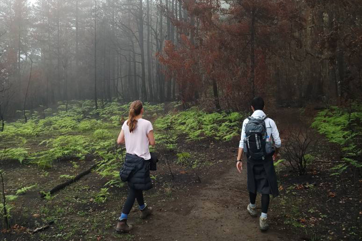 A guide to the the best walks and hikes in the mystical kingdom of Bhutan