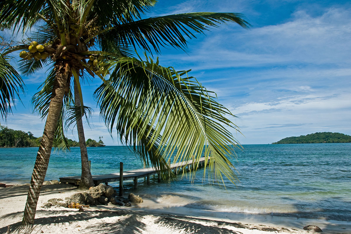 Sweet Bocas