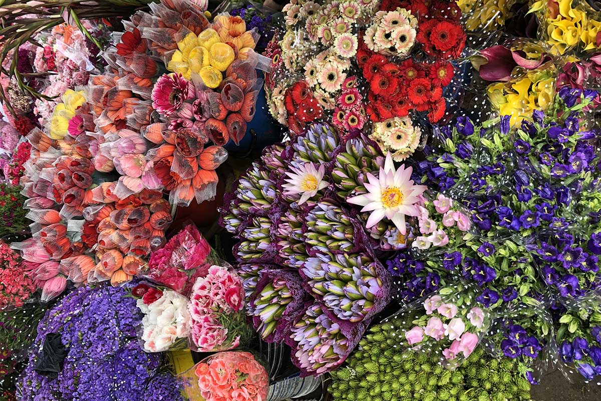 48 Hours in Bogota