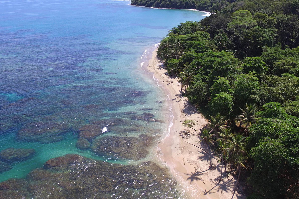 The best places to spot Costa Rica's amazing wildlife