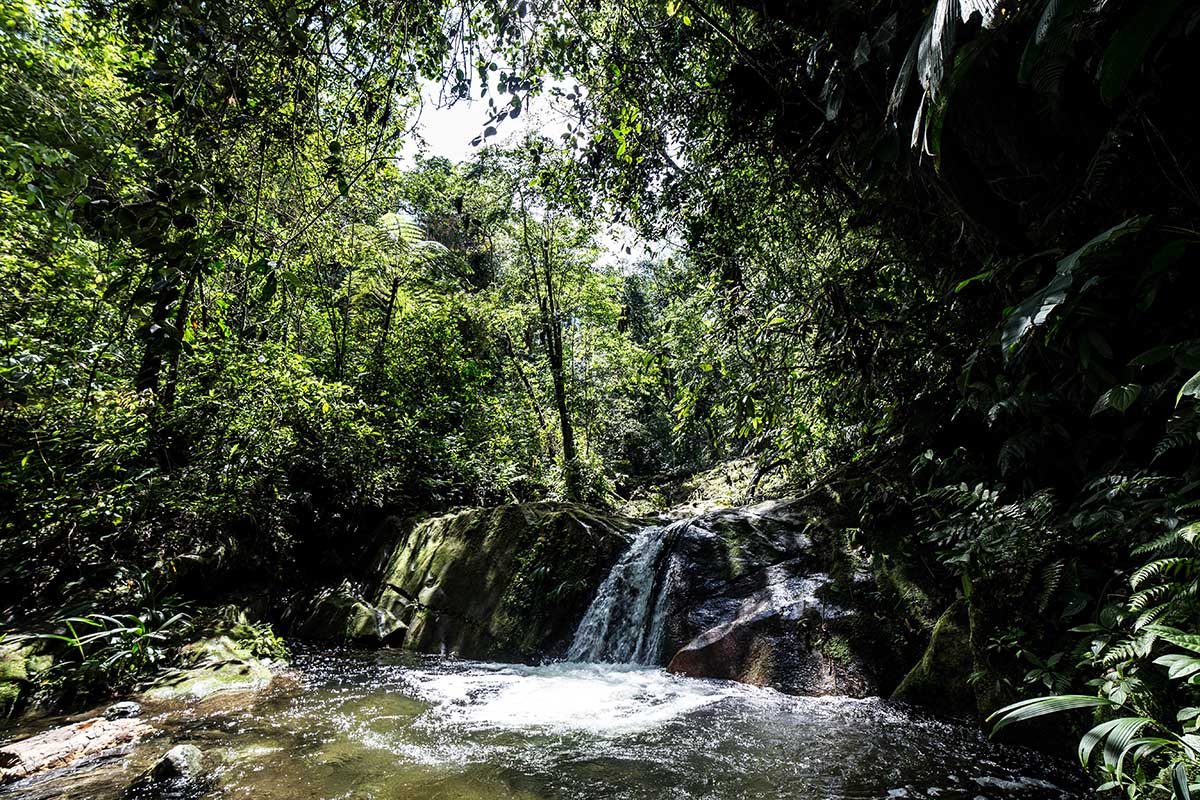 Our stay at Casa Galavanta in Sierra Nevada de Santa Marta, Colombia
