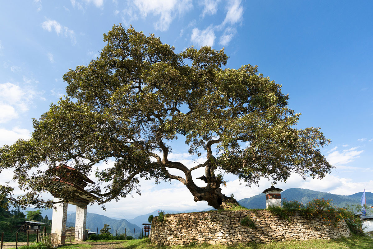 Why we love Six Senses Bhutan