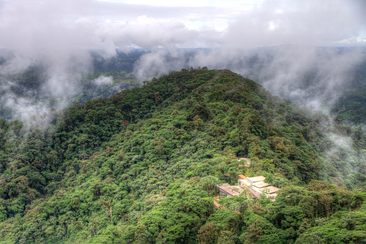 Cloud Forest Ecuador