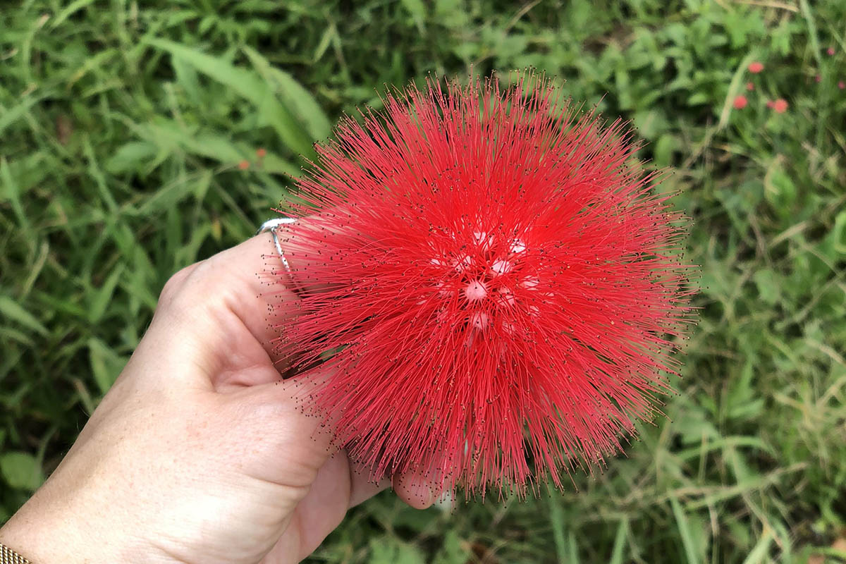 Sarah's experience of Colombia's coffee region
