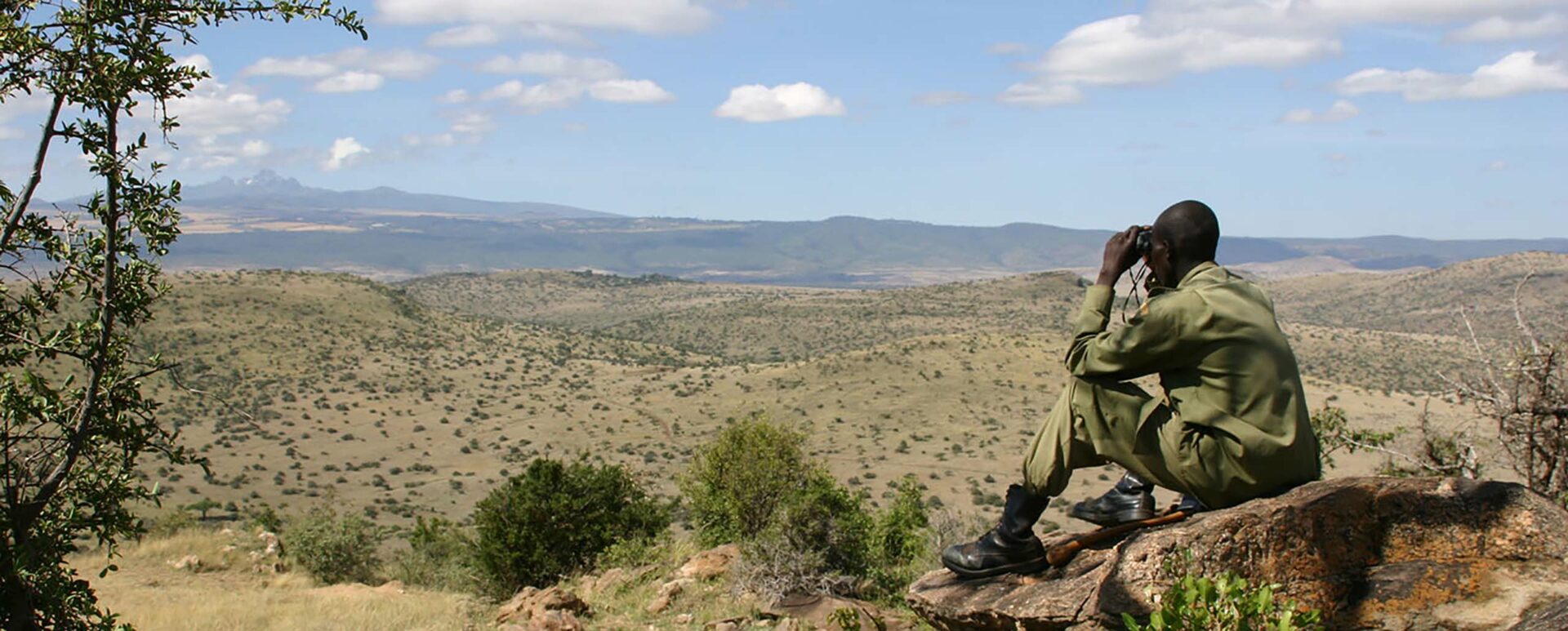wildlife conservation in africa, Help save Africa's wildlife + wild spaces