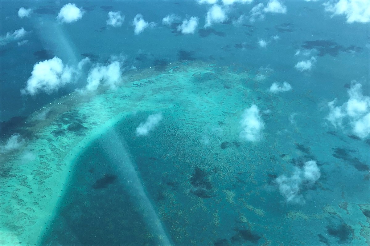 Conserving the great barrier reef