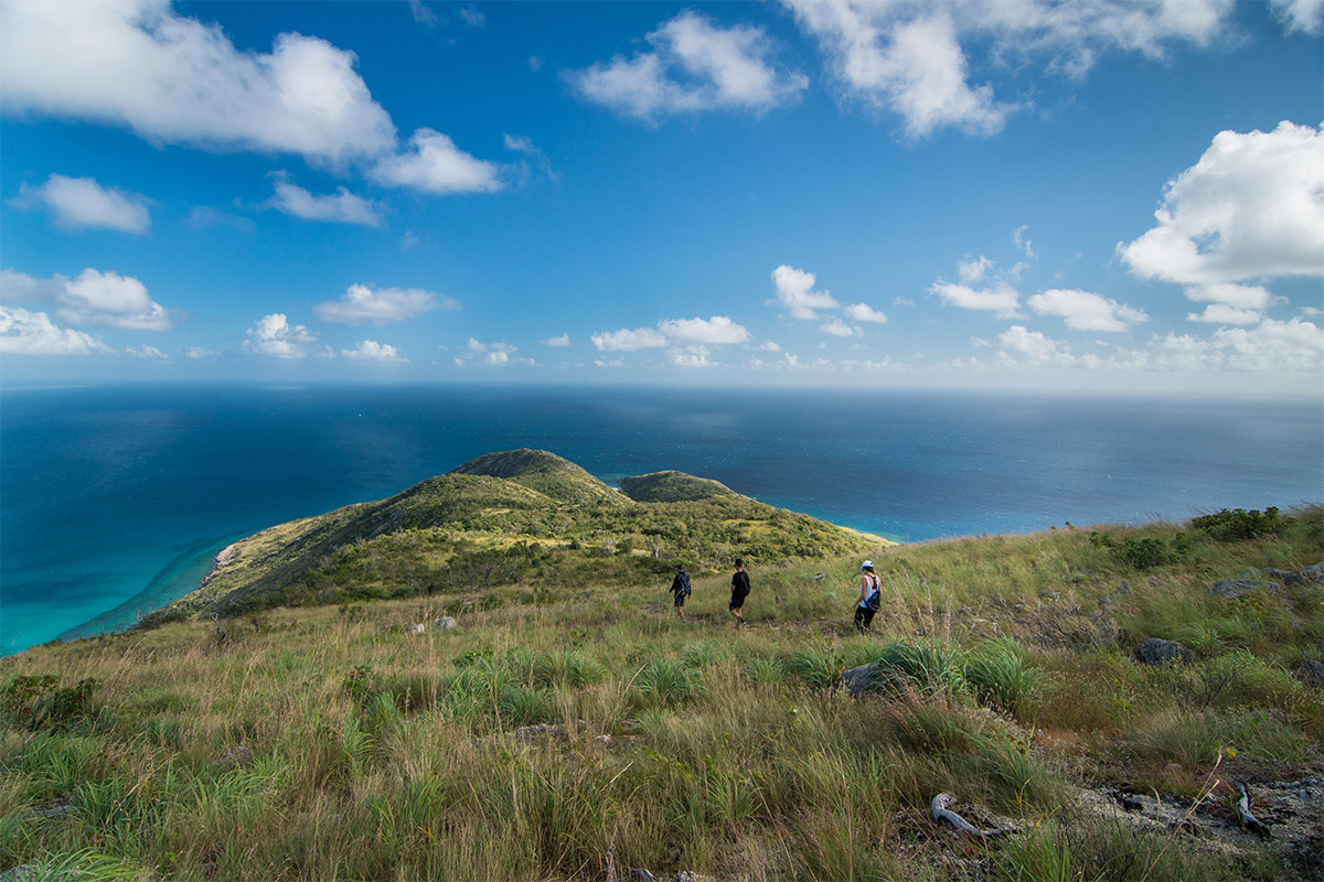 Conserving the great barrier reef