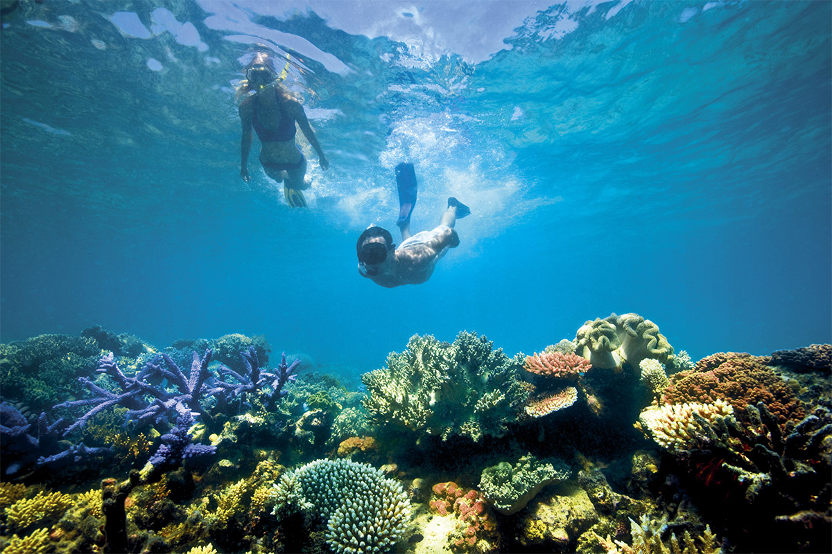 Lizard island