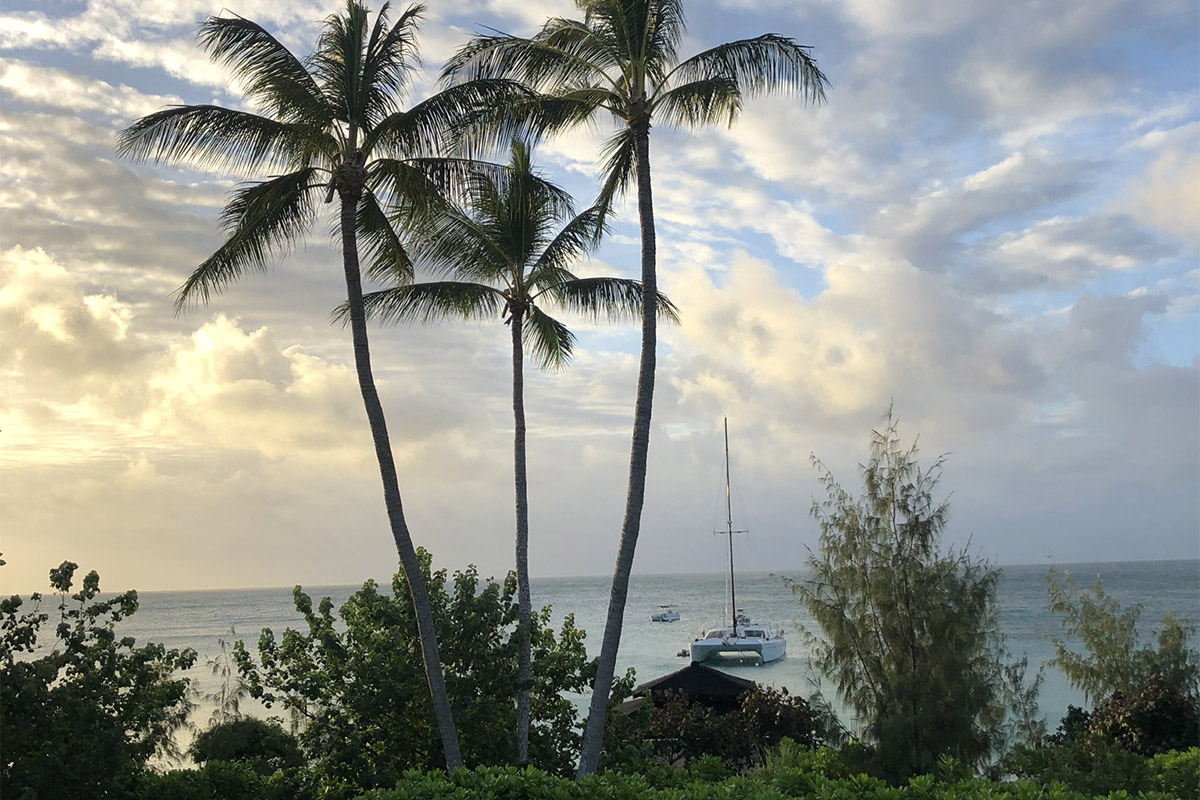 Conserving the great barrier reef
