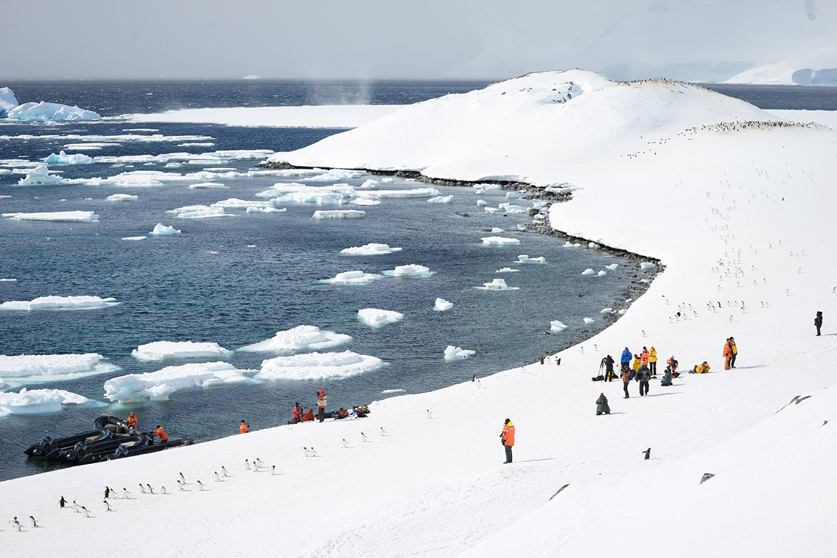 Antarctica