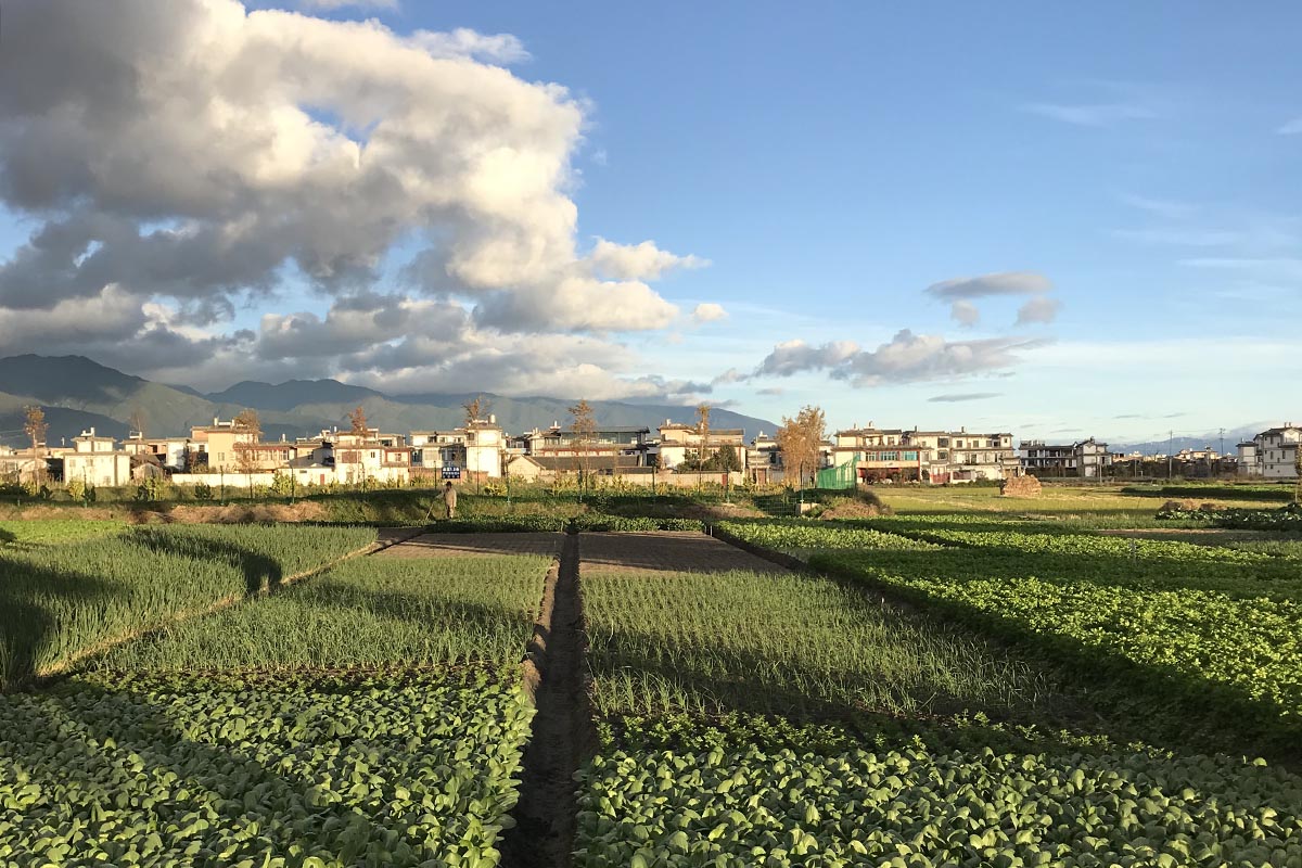 Yunnan China