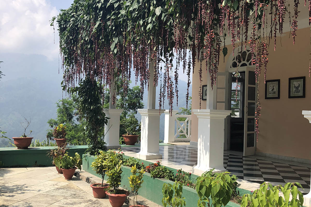 Discovering Darjeeling in West Bengal, India