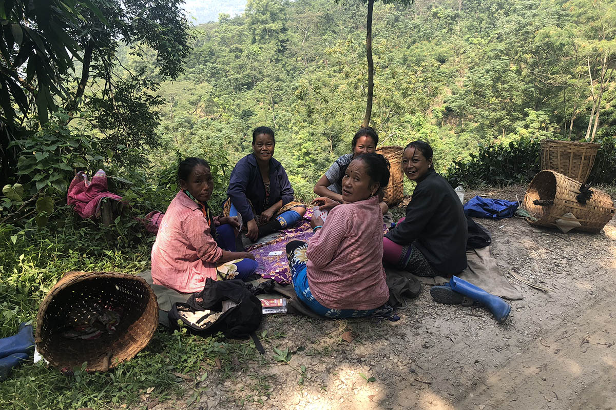 Discovering Darjeeling in West Bengal, India