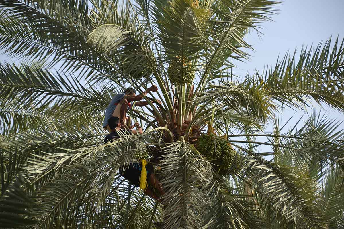 Discover Oman's Al Hajar Mountain range