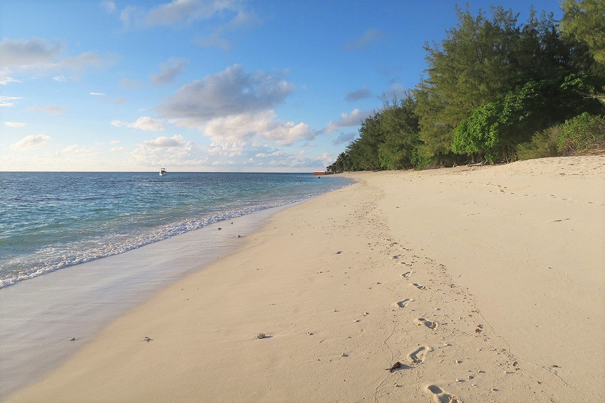 Conservation and sustainability on Denis Private Island, The Seychelles