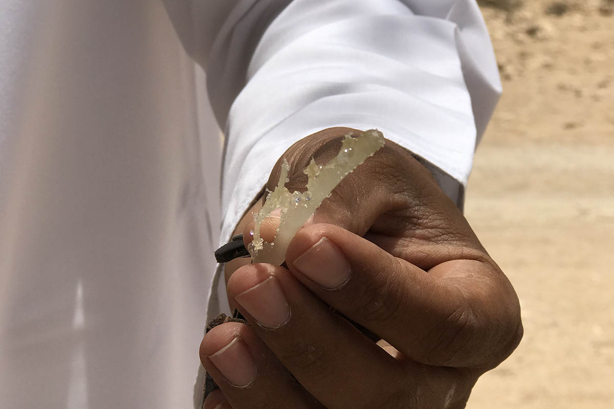 Why you should visit Oman's unexplored Dhofar Province
