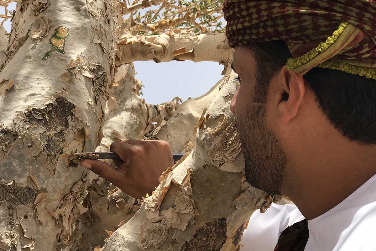 Why you should visit Oman's unexplored Dhofar Province