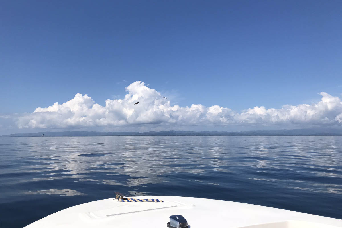 Milly Warr Dolphin Experience