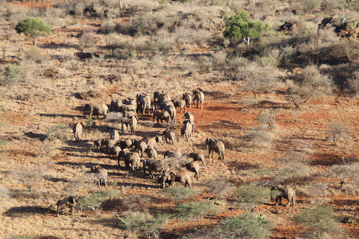 Why I loved Kenya's Laikipia Plateau